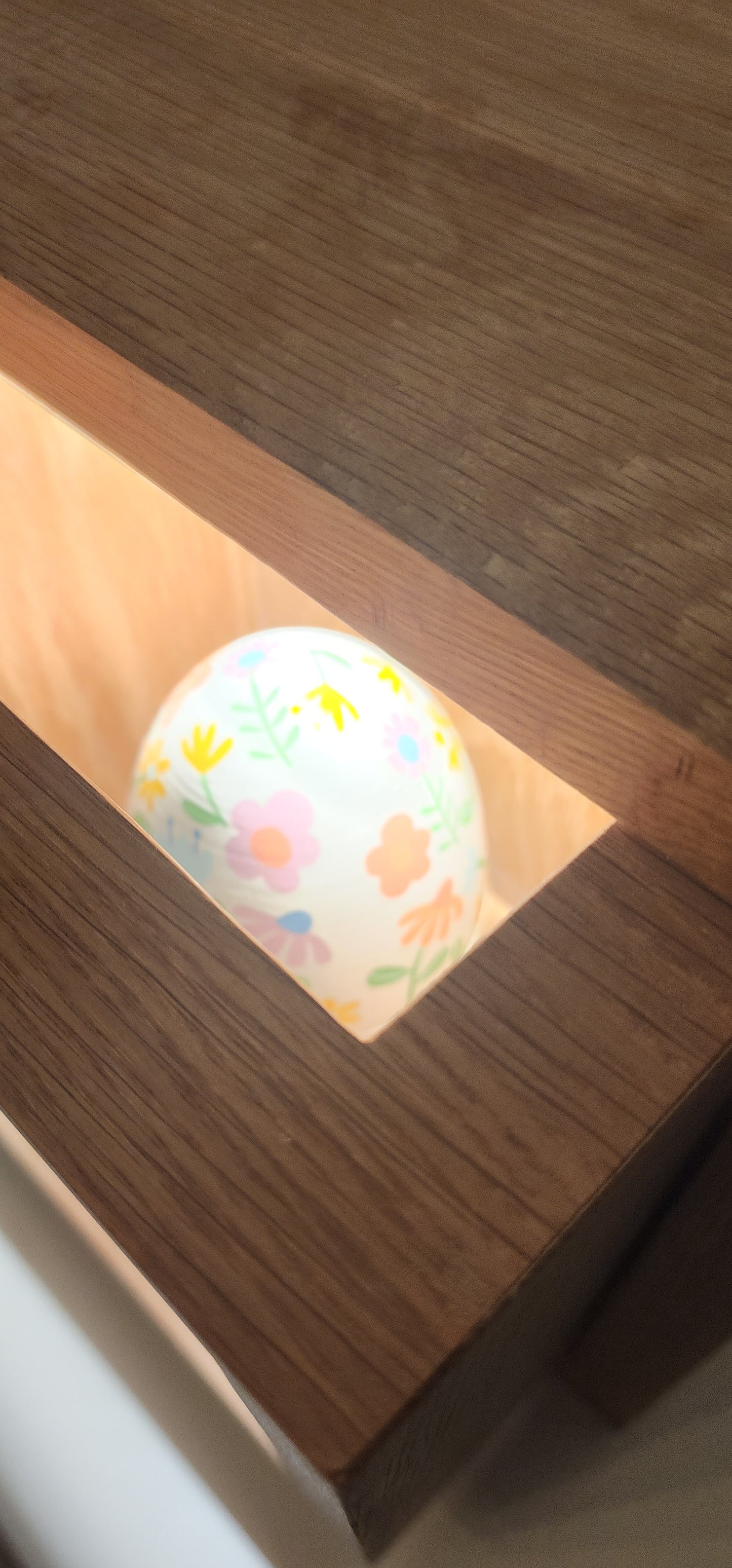 Removable Locking Recessed Display Case with Light