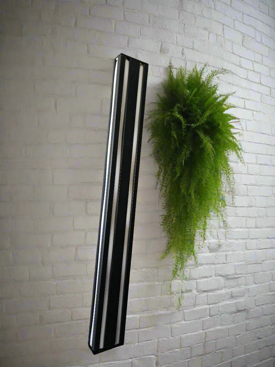 Linea Wall Light