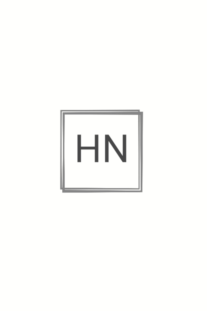 Hammer And Nail Studios logo