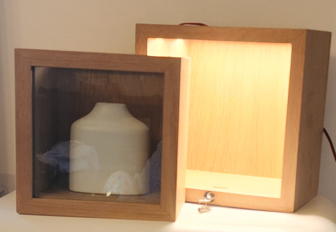 Recessed Display Case