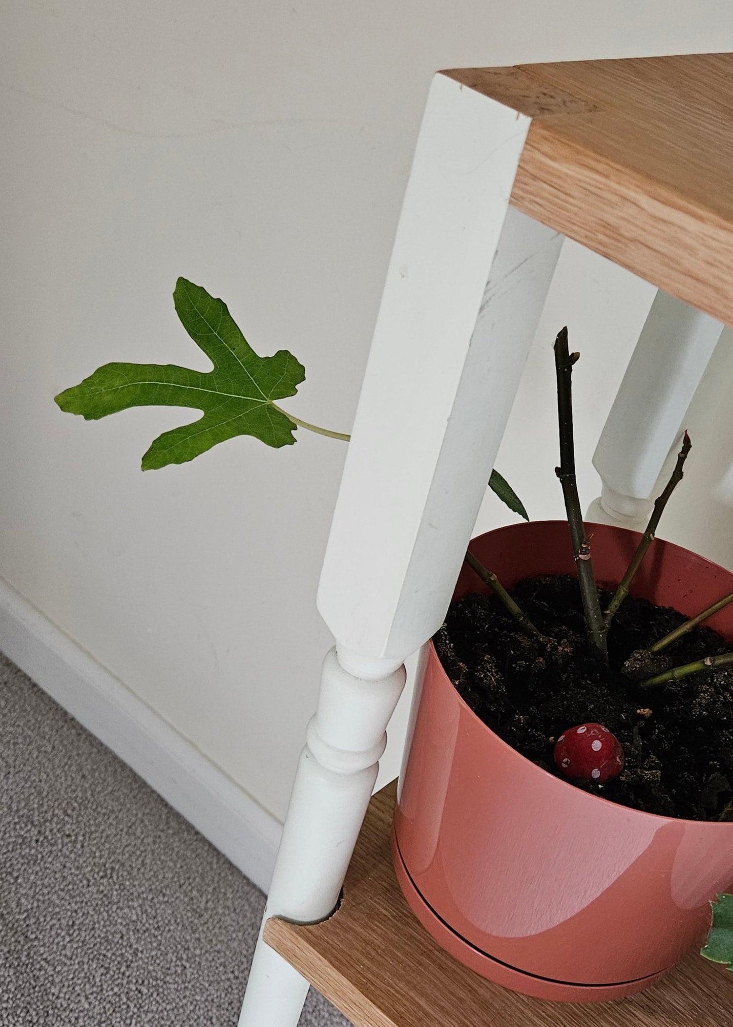 Accent Table